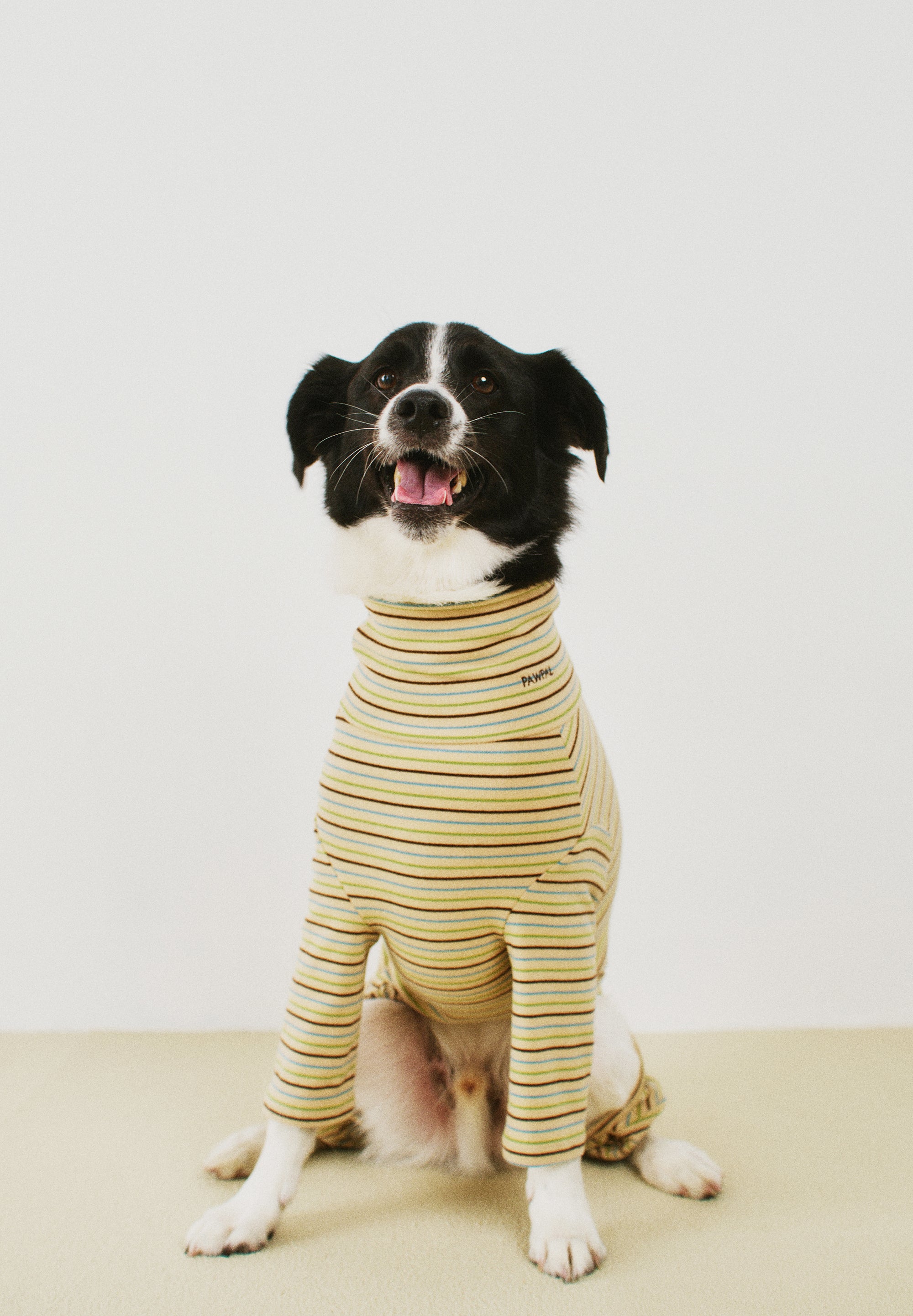 모찌 올인원 바닐라 - 베이직 에디션