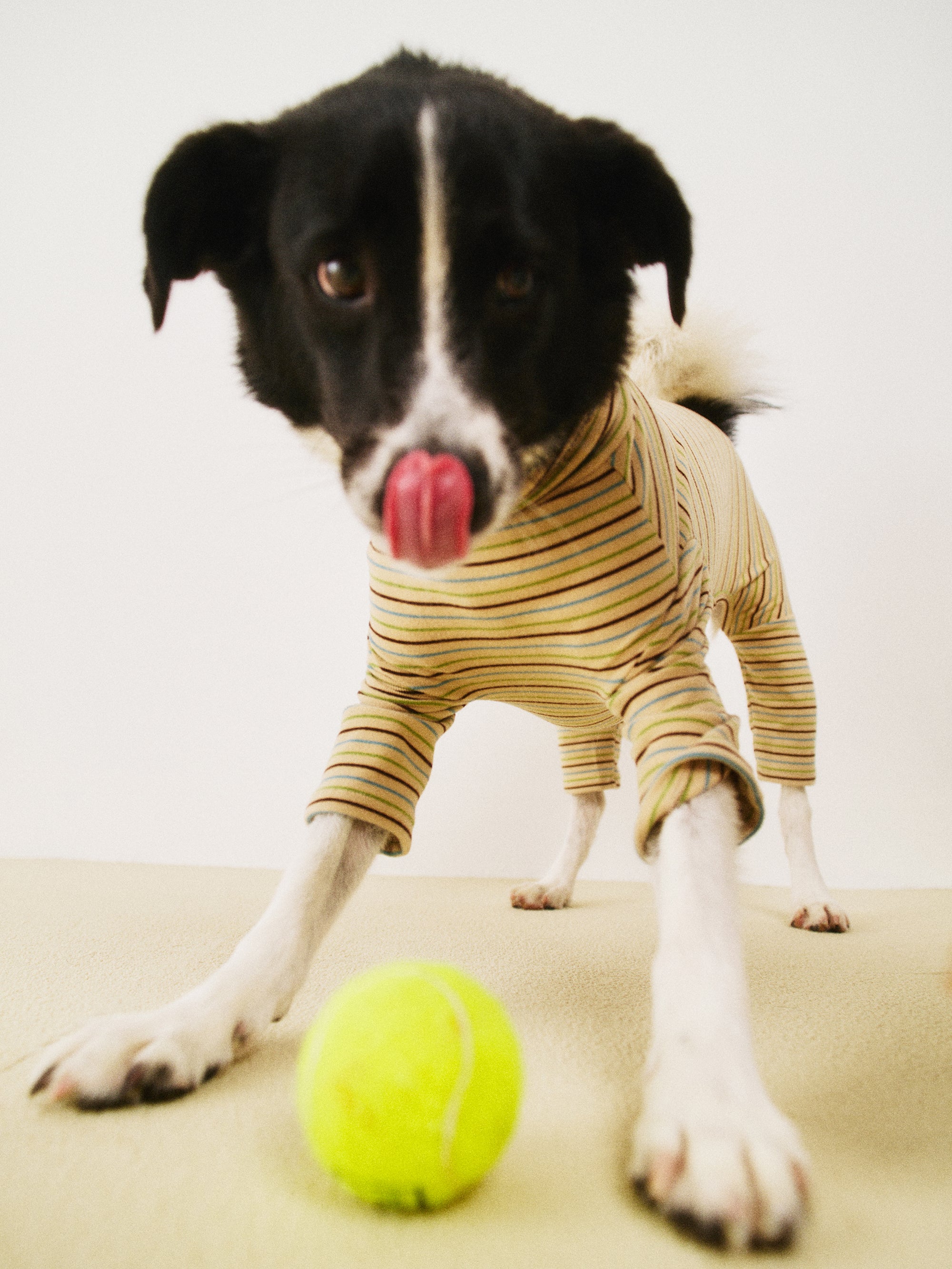 모찌 맨투맨 바닐라 - 베이직 에디션