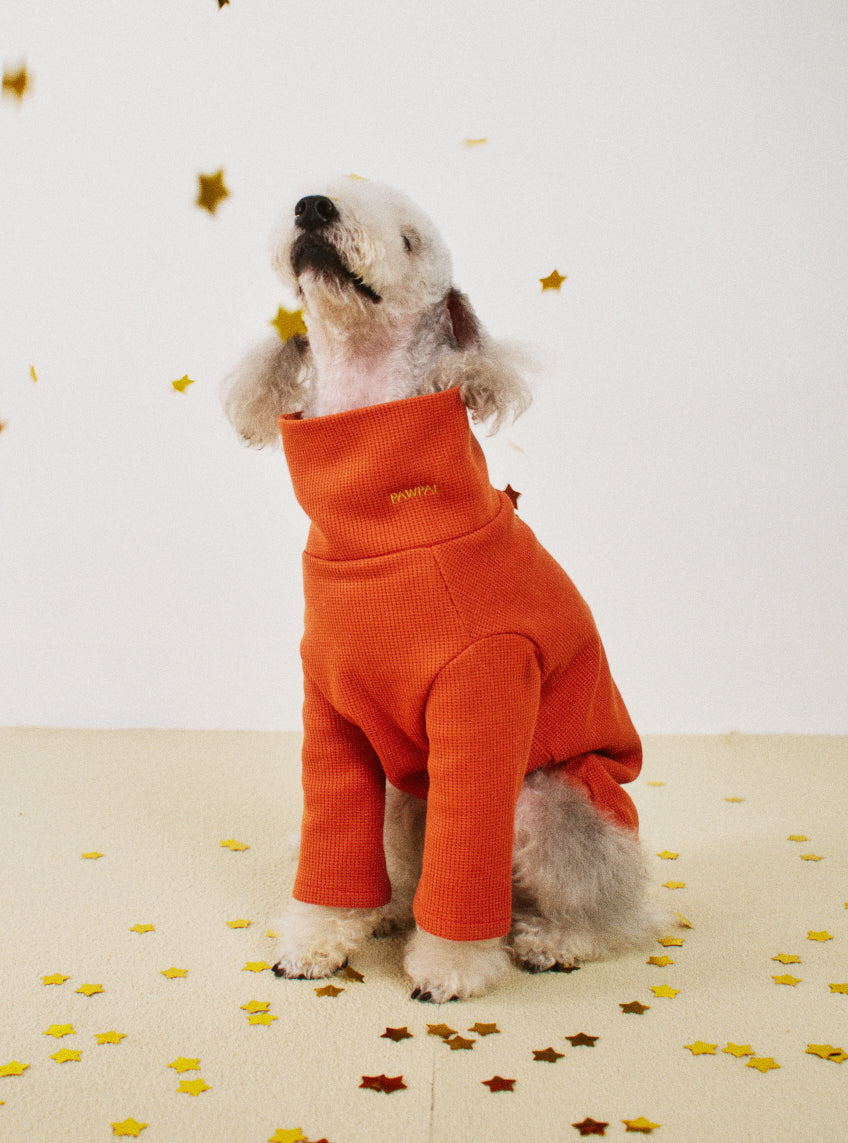 오로라 맨투맨 선셋 - 별자리 에디션