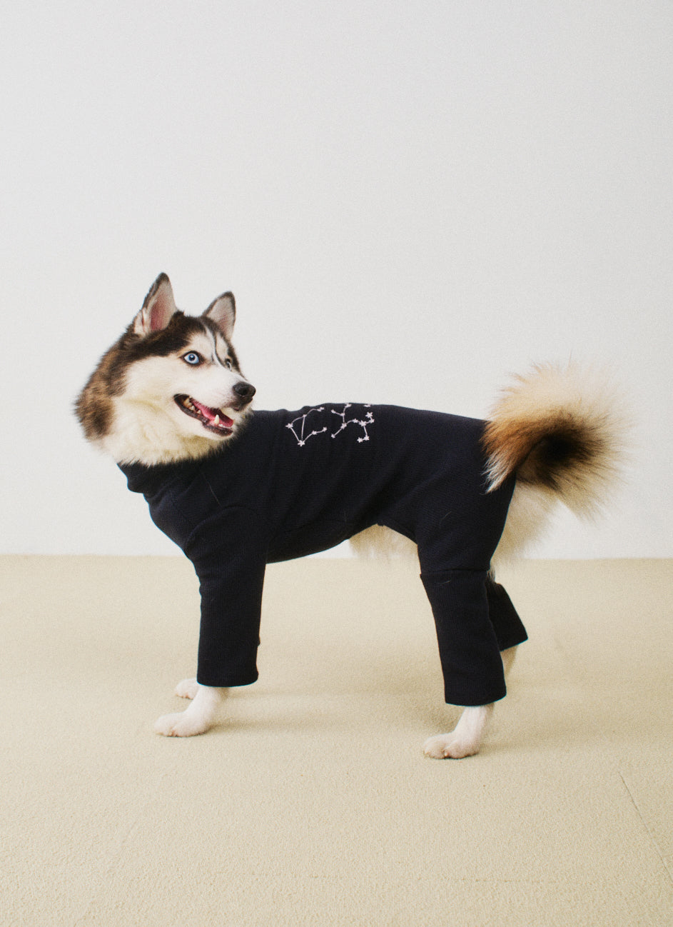 오로라 올인원 미드나잇 - 별자리 에디션