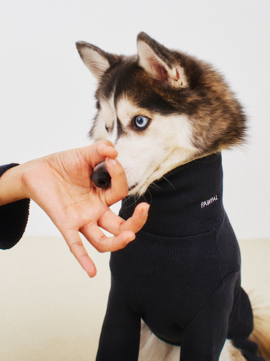 오로라 맨투맨 미드나잇 - 별자리 에디션