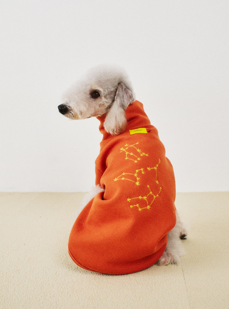 오로라 올인원 선셋 - 별자리 에디션