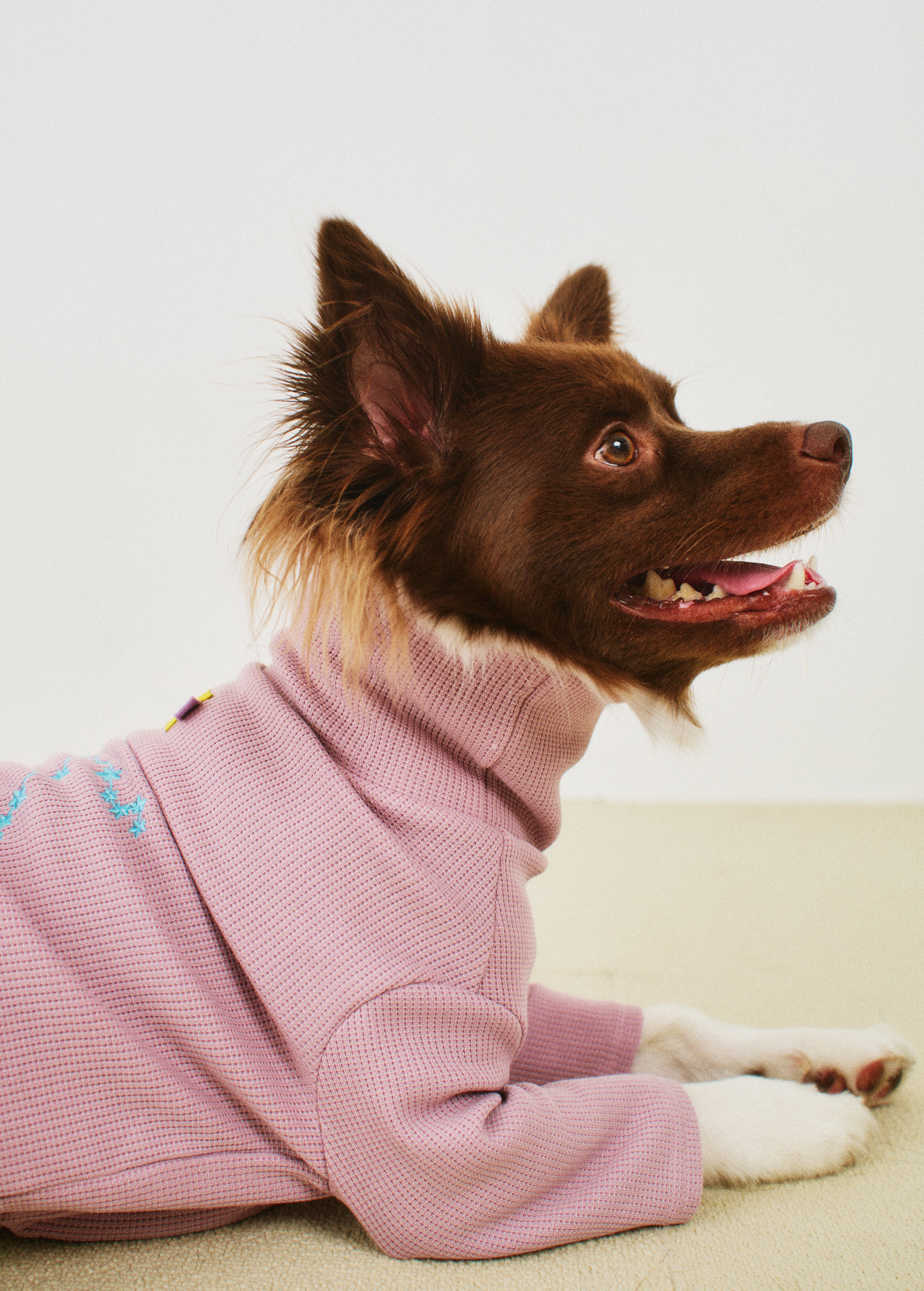 오로라 맨투맨 코튼캔디 - 별자리 에디션