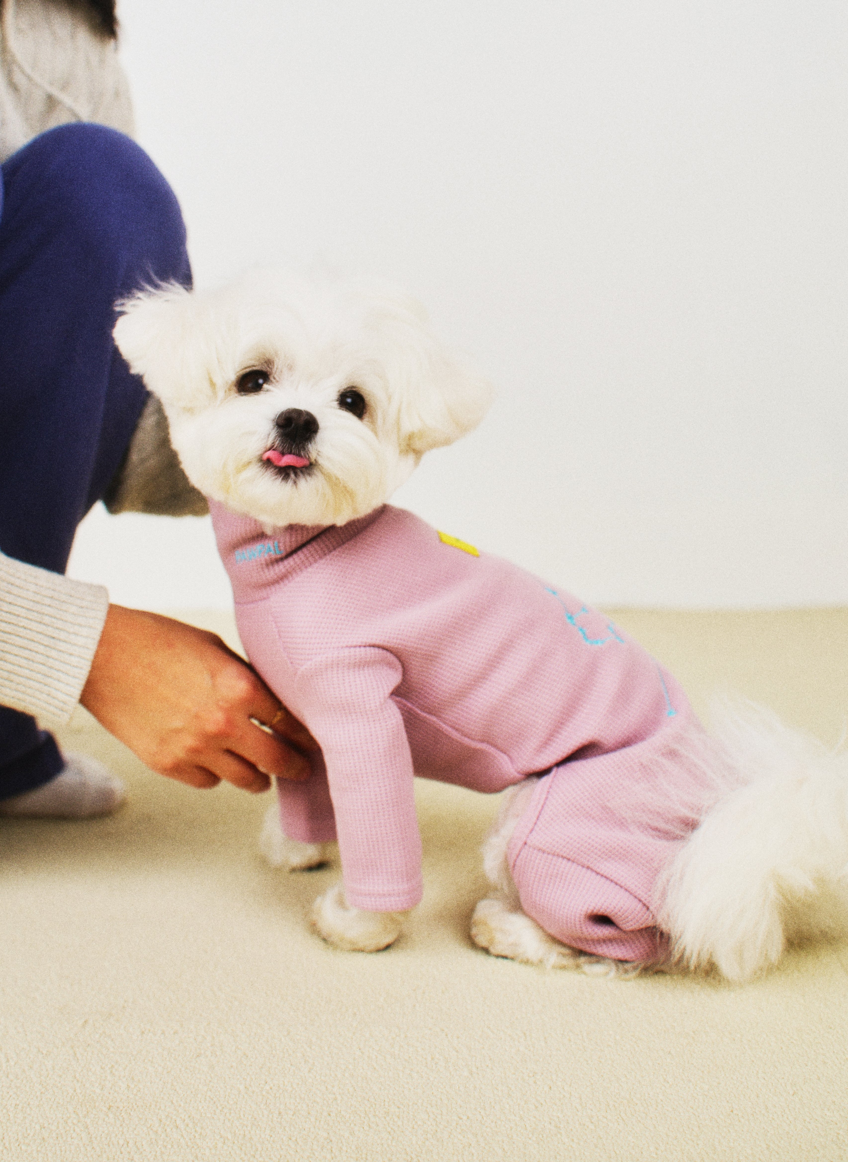 오로라 올인원 코튼캔디 - 별자리 에디션